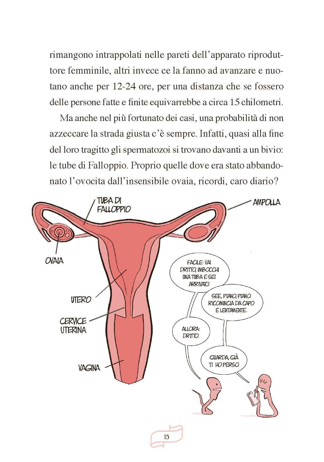 Diario di una cellula. Come si forma e cresce il corpo umano