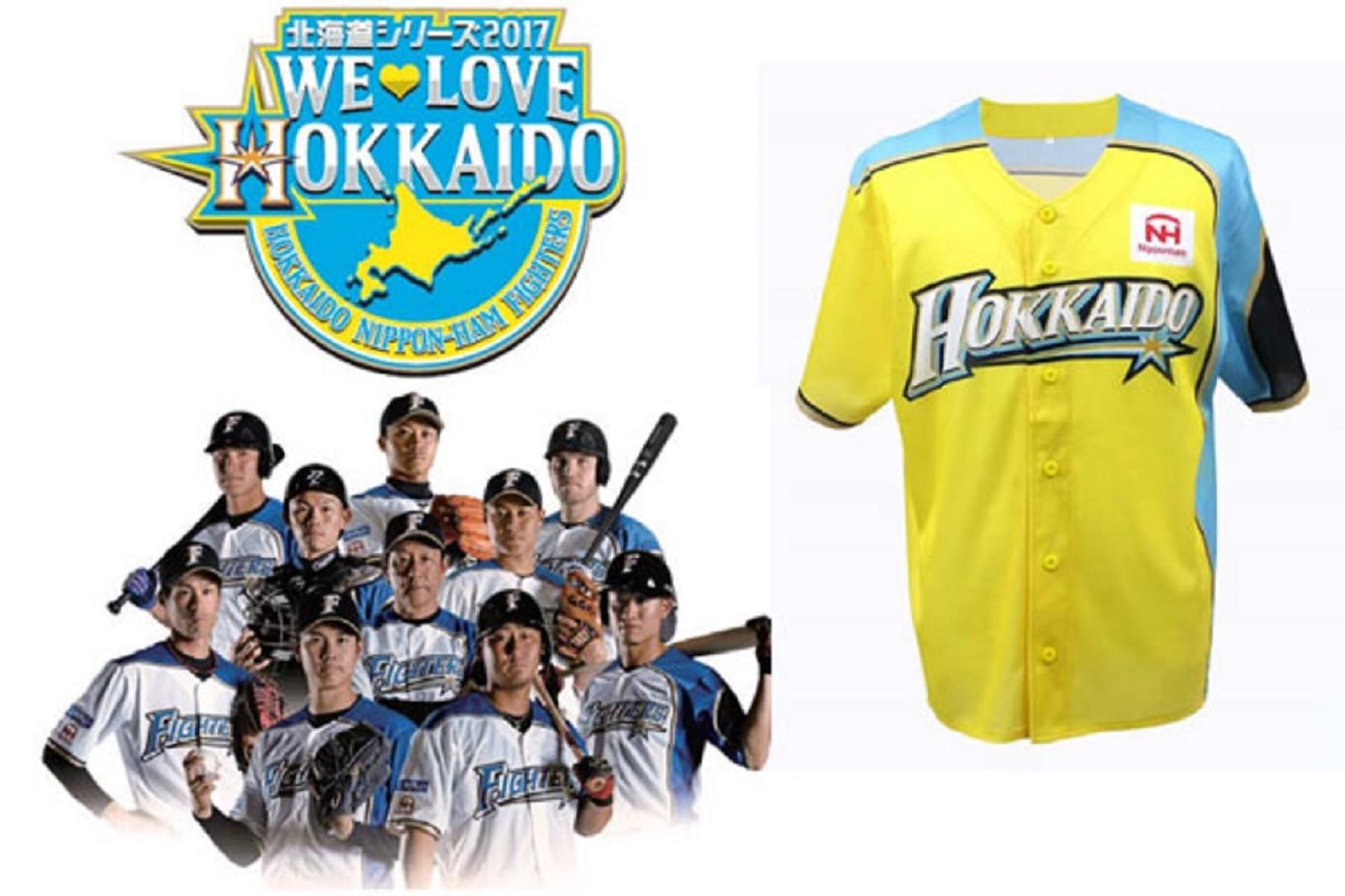 大谷翔平 北海道シリーズ2017 WE LOVE HOKKAIDOレプリカユニL 【公式 