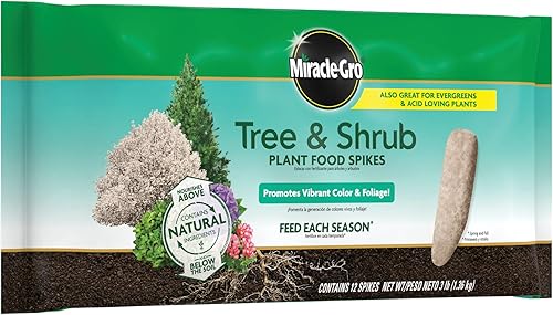 Miniatura 7 de Miracle-Gro Puntas de alimento para plantas de árboles y arbustos, para árboles caducifolios, con flores y siempre verdes, 12 puntas