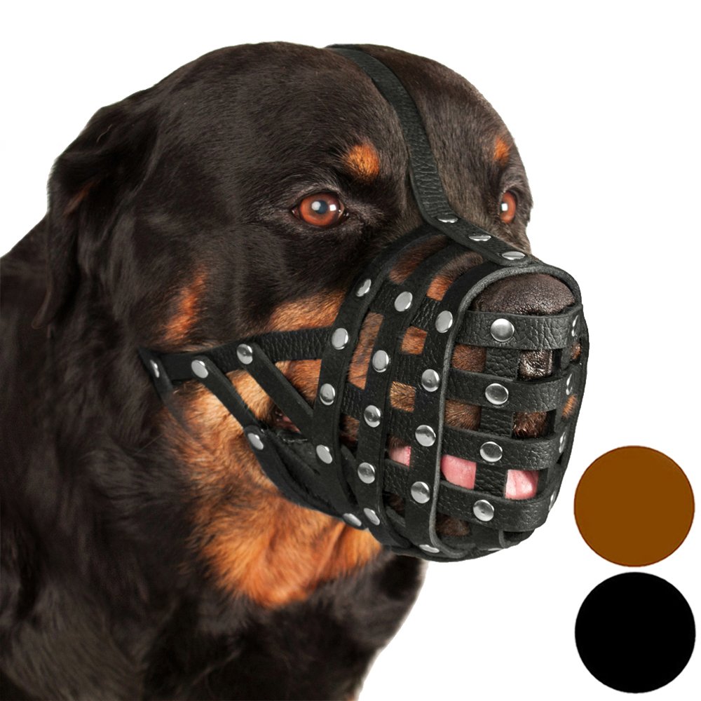 CollarDirect Rottweiler Leather Dog Muzzle Secure Basket Black Brown
