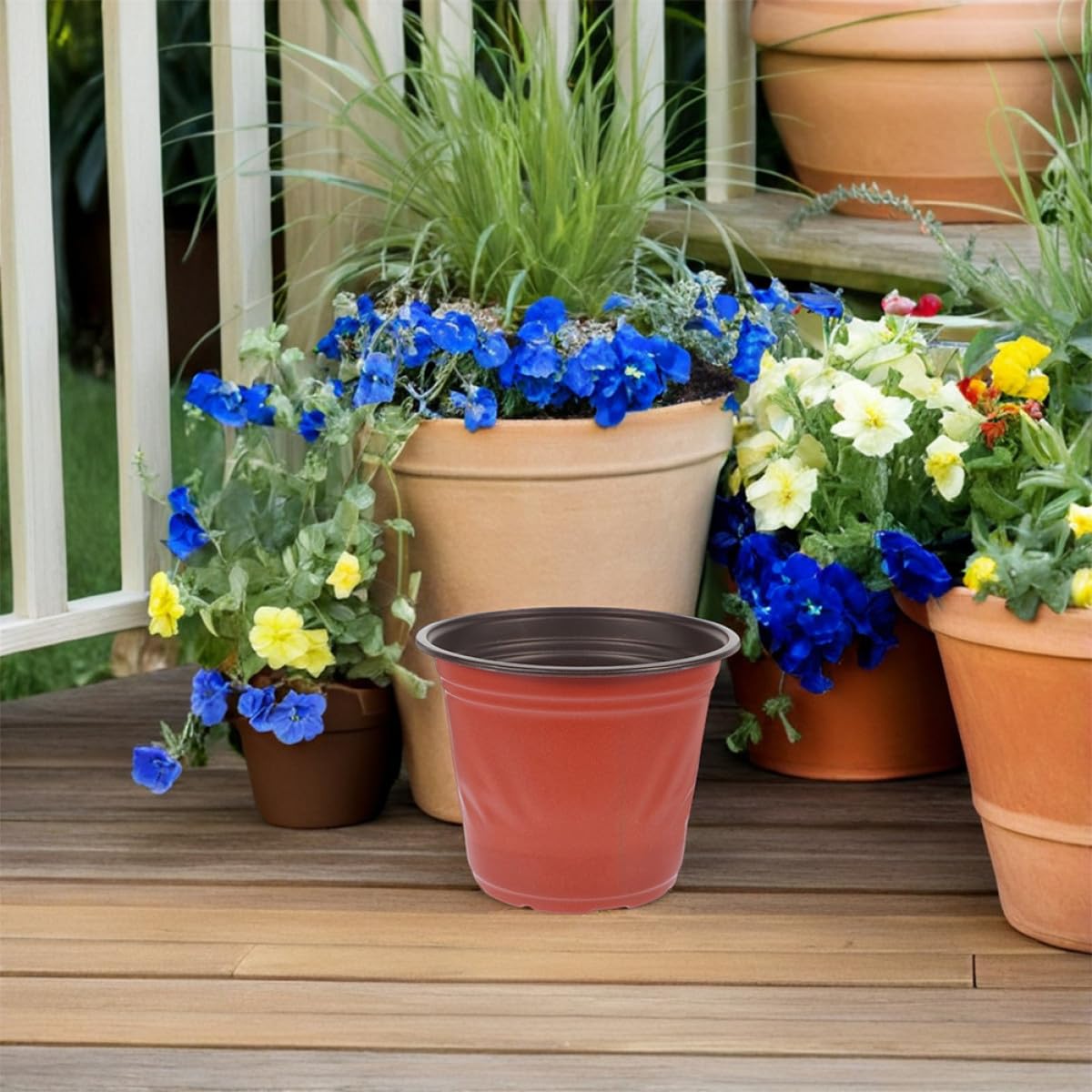 Hemobllo 60 pièces Pots Plastique pour Semis avec Drainage Petits Pots Deux Tons pour Cactus et Succulentes Jardinière de Transplantation pour Balcon et Jardin
