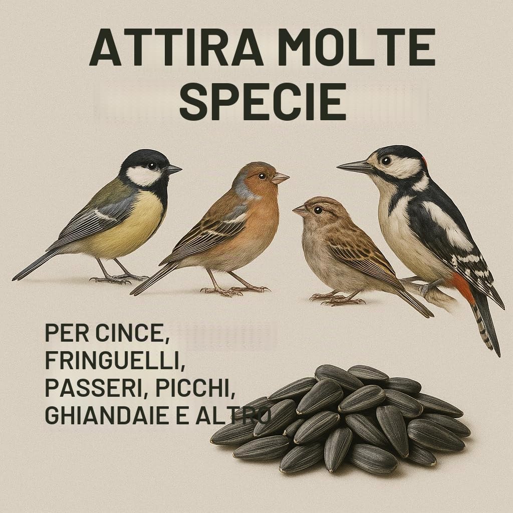 GiDeli Semi di girasole nero, 25 kg, in mangime per uccelli selvatici, per tutto l'anno
