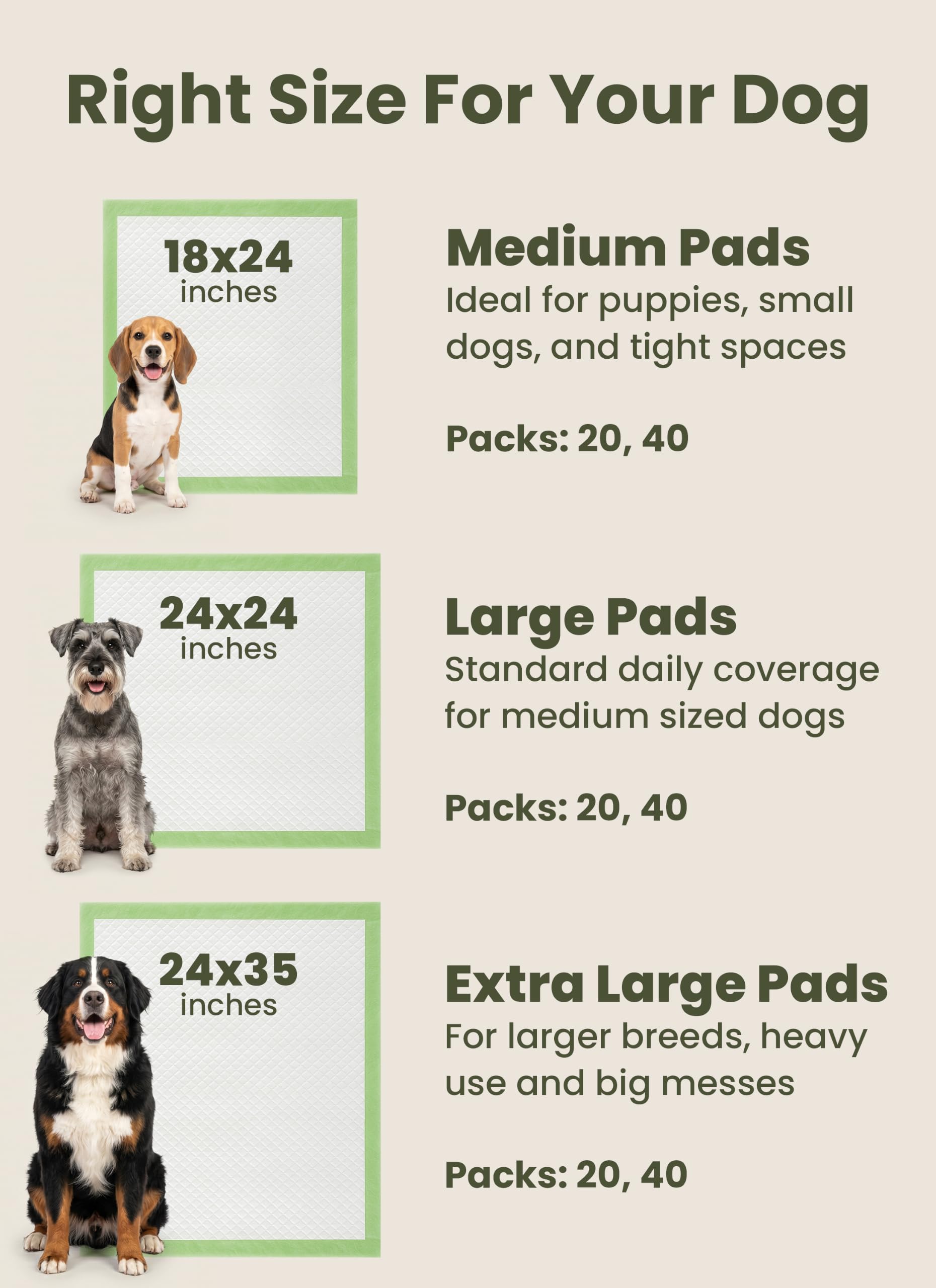 Pogi Trainingspads für Hunde – 60 × 90 cm, extra groß, umweltbewusst, für mittelgroße bis große Hunde – 40 Stück