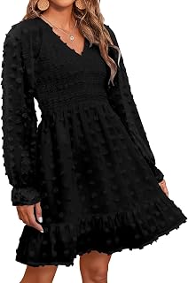 Long Sleeve Fall Dresses for Women 2025 Casual V Neck Swiss Dot Smocked Ruffle Chiffon Summer Flowy Mini Dress