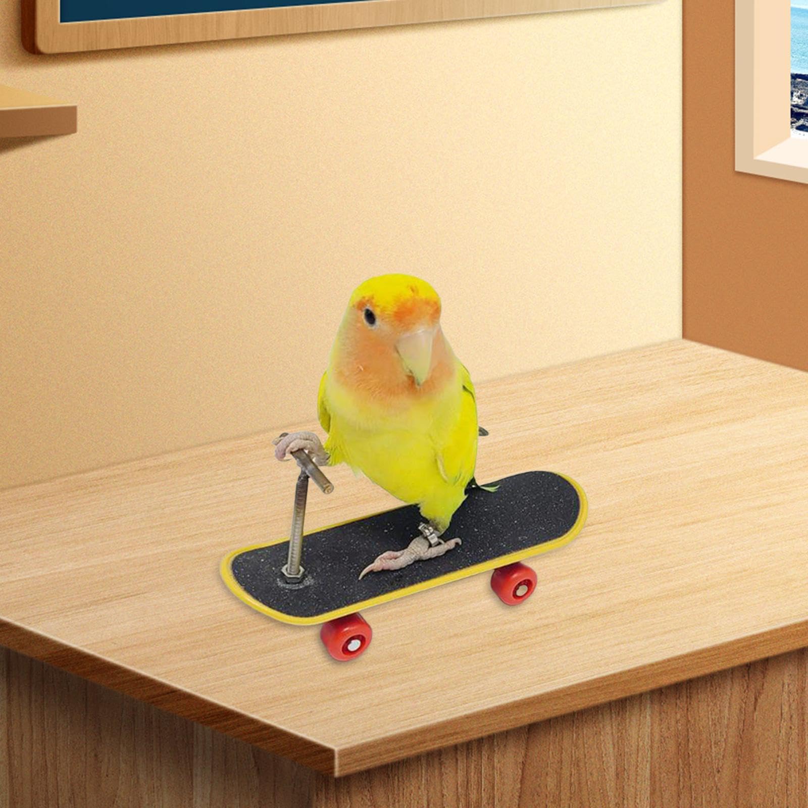 Vogel-Kostüm Mit Skateboard – Kleidung & Mini-Skateboard Für Papageien, Sittiche, Spielzeug