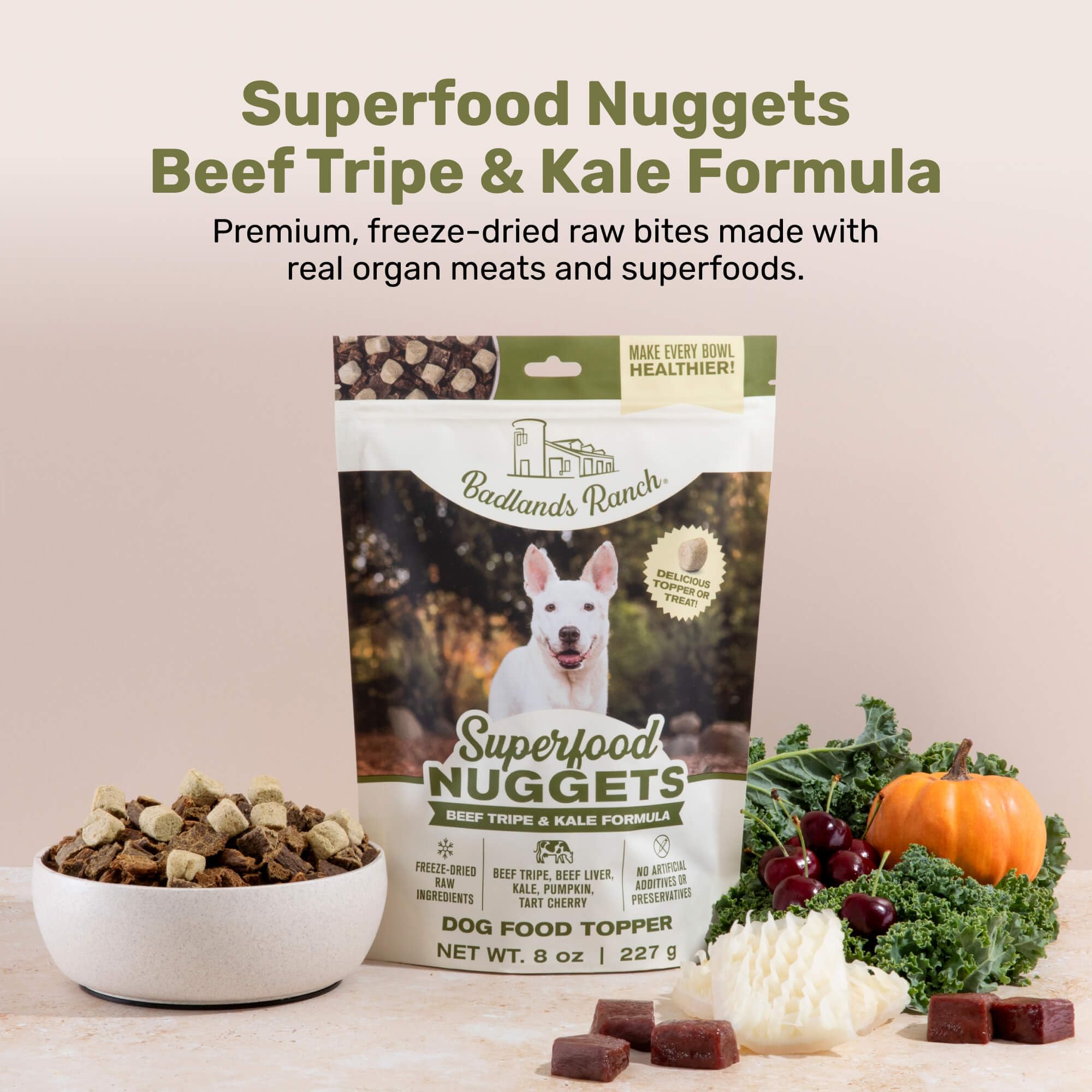 BADLANDS RANCH Superfood Nuggets – Freeze-Dried Raw Dog Treat
