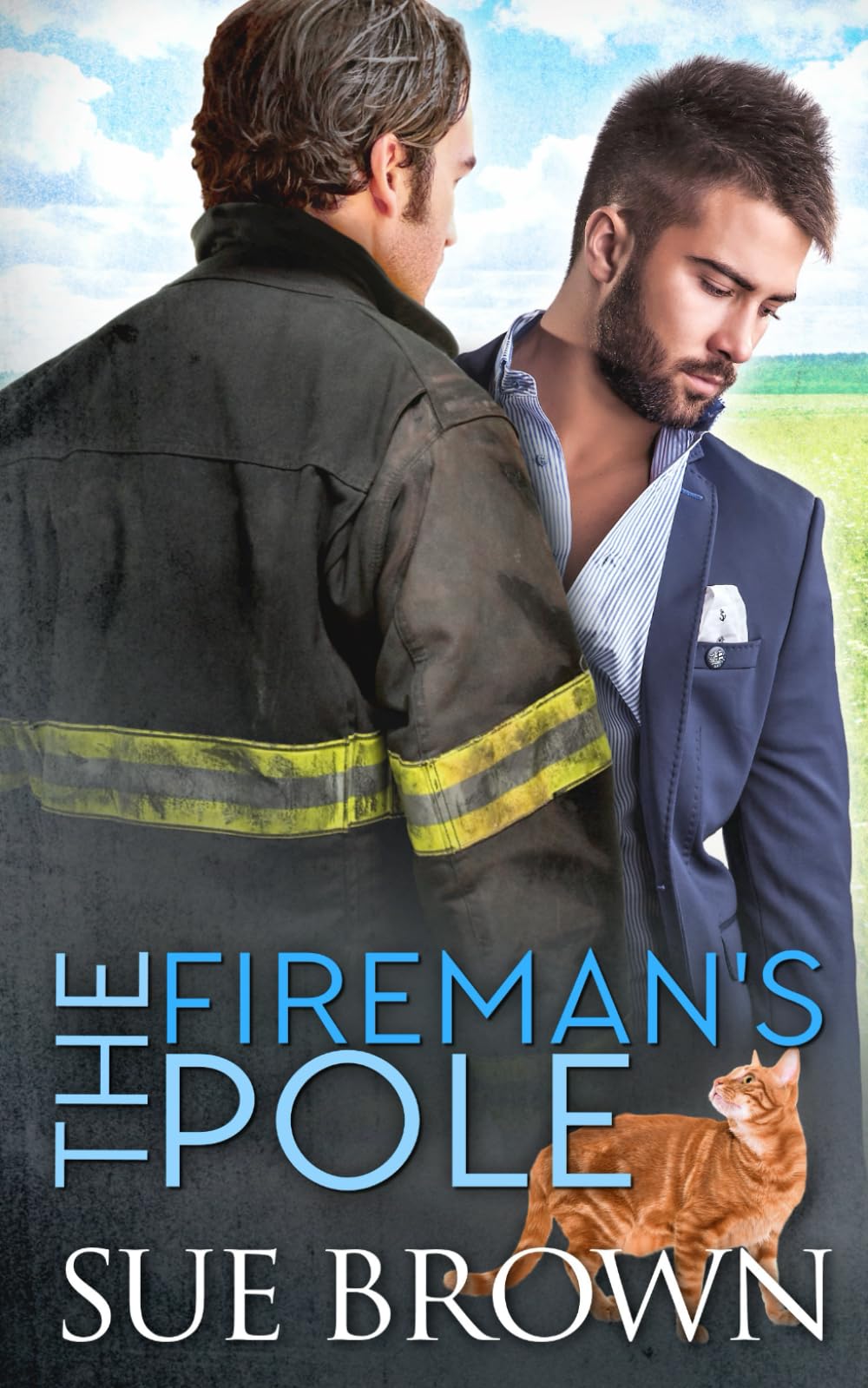 The Fireman's Pole: a small town/opposites attract/gay romance story