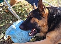 Review Image by kimmy.k kimmy.k