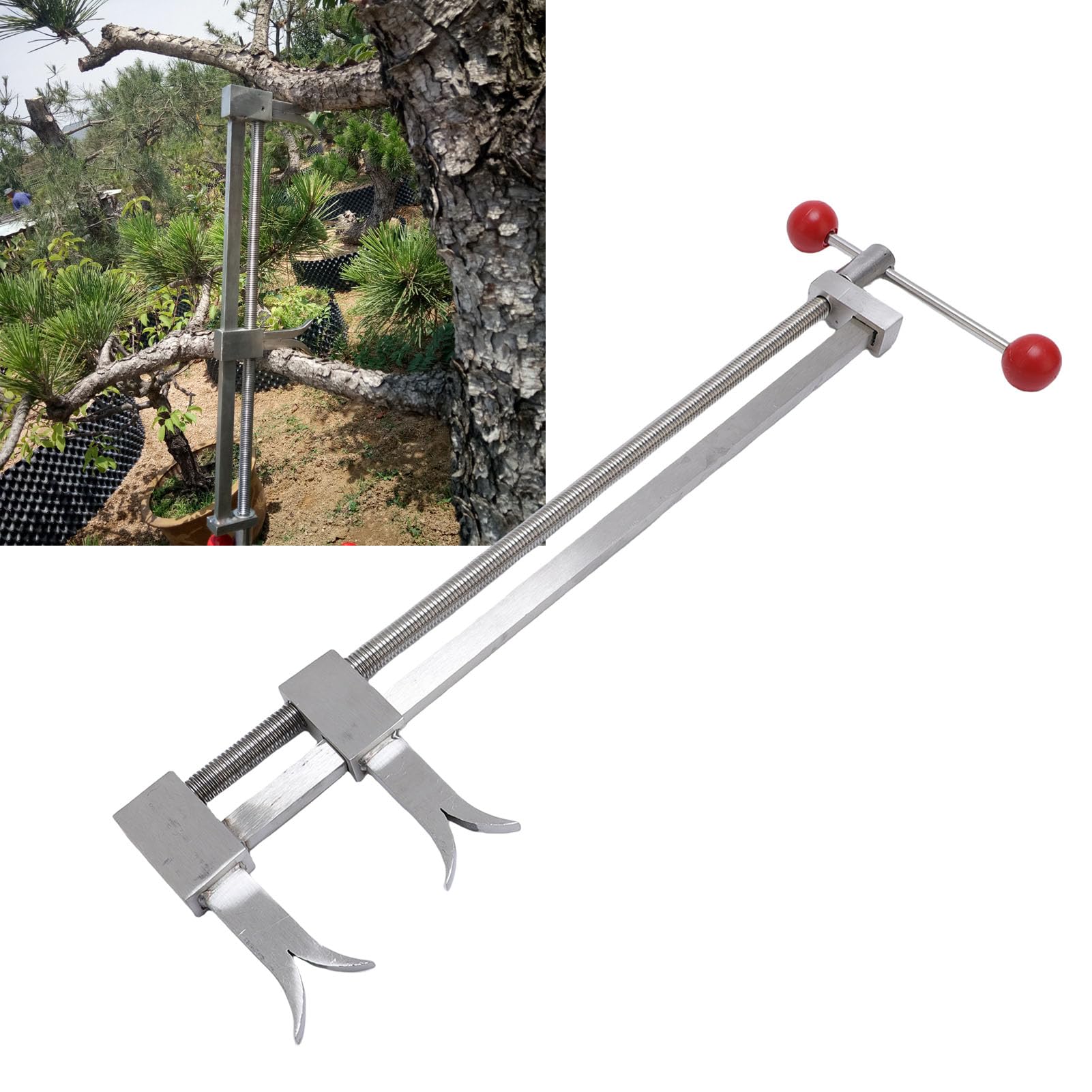Generic Giętarka do Gałęzi Drzewa Modulator ze Stali Nierdzewnej Regulator Pnia do Kształtowania Bonsai Profesjonalne Narzędzie Ogrodnicze