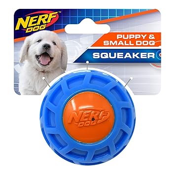 Nerf Dog 2.5in TPR EXO Squeak Ball - Blue/Orange
