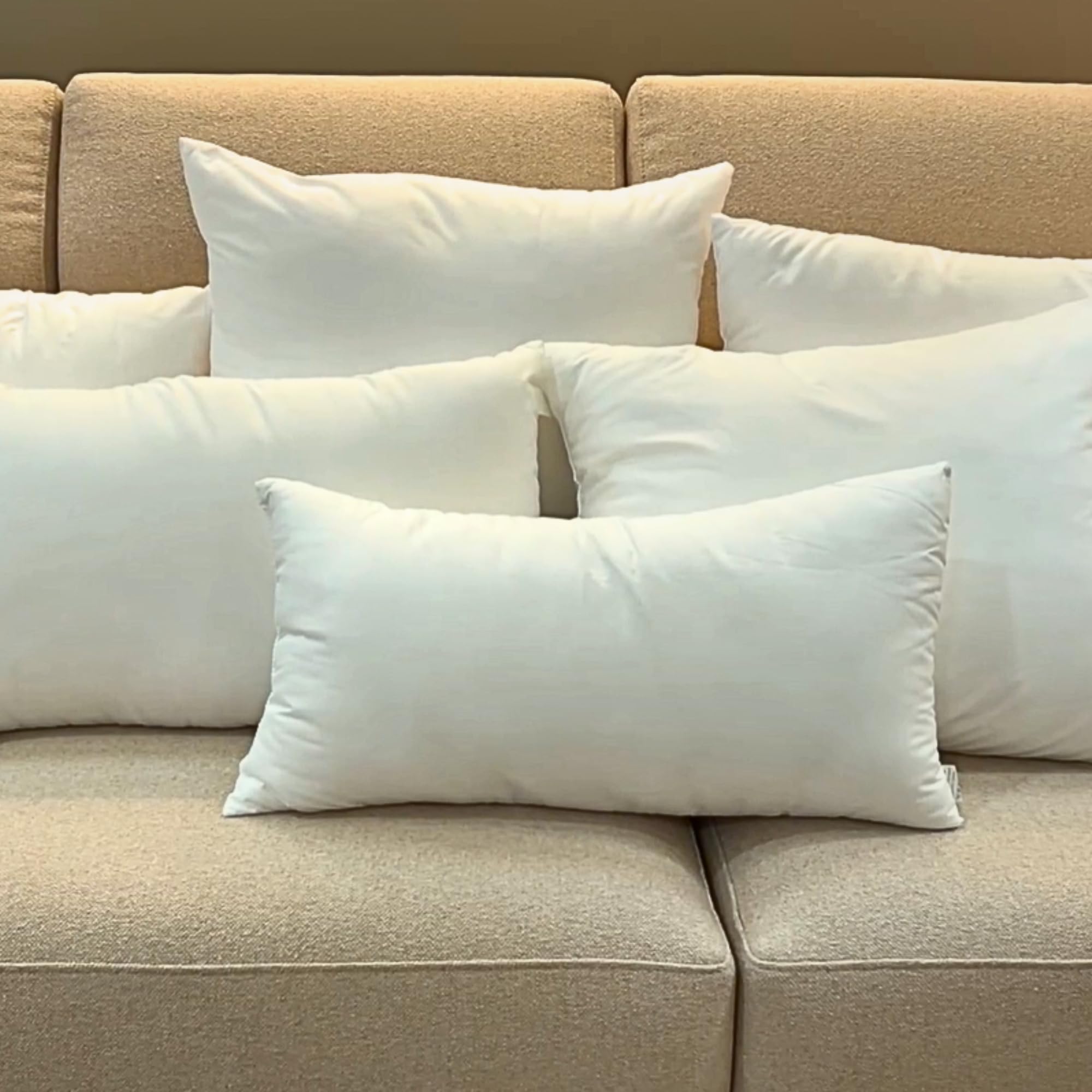TAPIDECOR | Relleno de Cojín | Fibra Premium Efecto Pluma | para Cojines y Almohadas | para Sofá, Cama | Antialérgico | Mullido, Suave y Esponjoso | Alta Recuperación | 60 x 60 cm | 2 Unidades