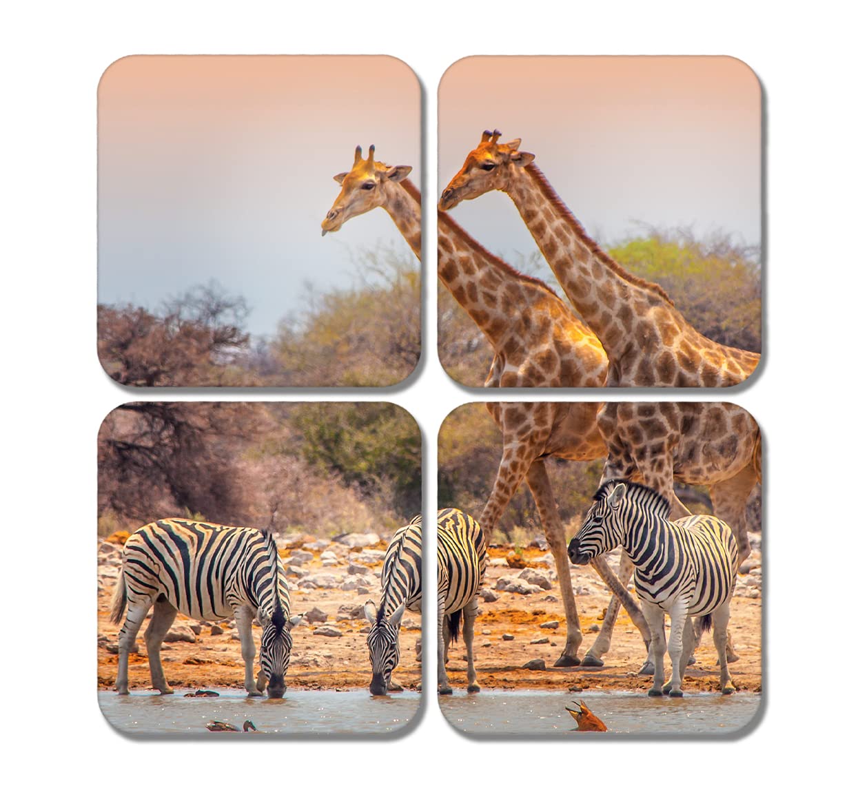 4 x Square Safari Animals Coasters - Giraffe Zebra Zoo Print Jigsaw Gift #78301