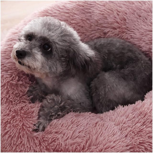 Foto 2 de 4 de PETCUTE Cama Perro Grande Mediano Pequeños Cama Gato Lavable Suave Mascotas Calentito Cojín Invierno de Felpa