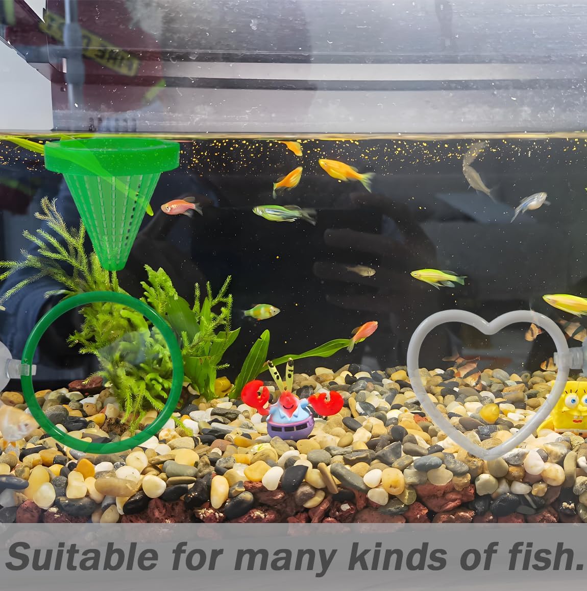 10PCS Betta Fish Exercise Ring and Feeder Set, Fish Feeder Ring,Fishes Toys for Small Tank, Betta Fish Training Loop image 4