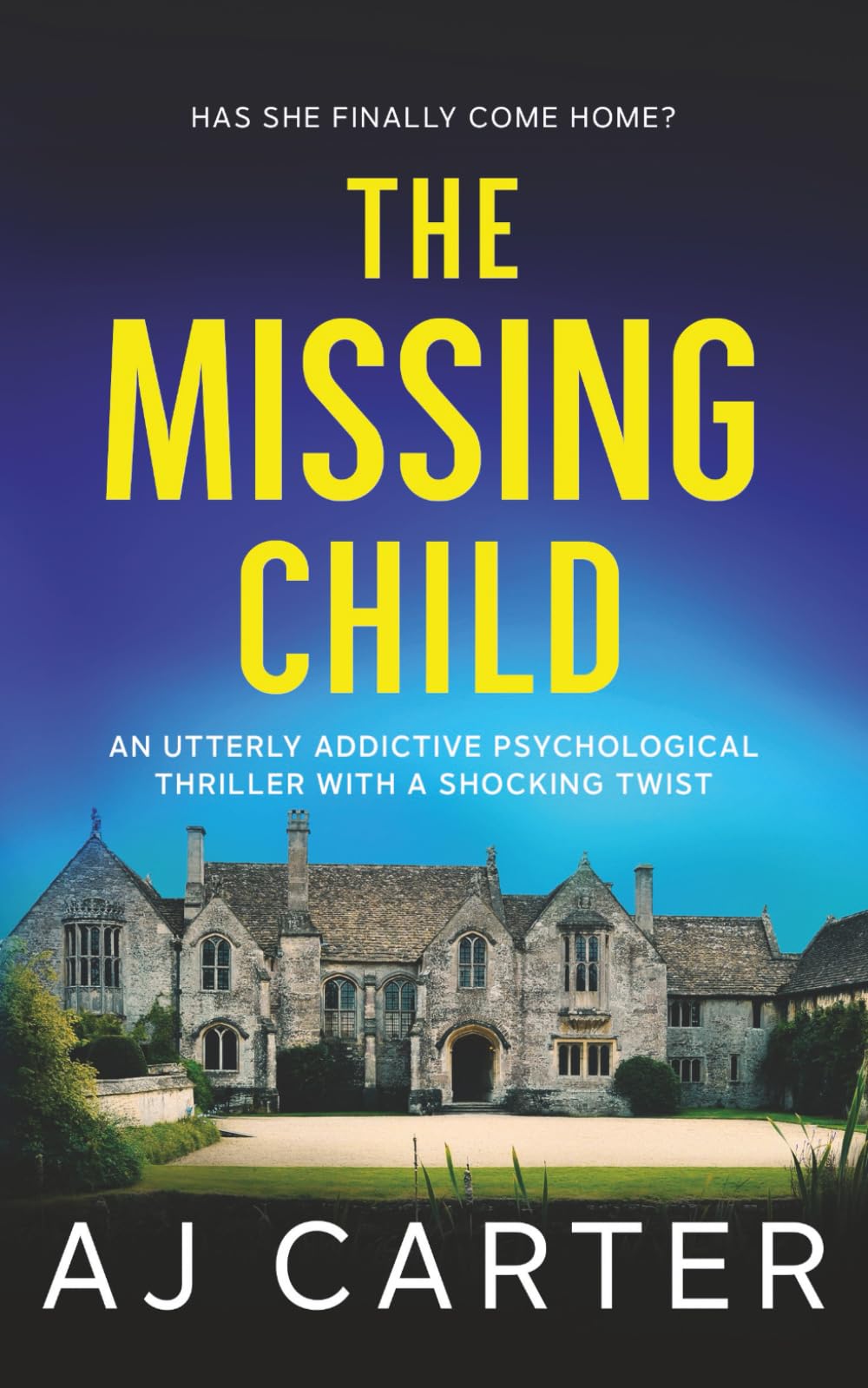 The Missing Child: An utterly addictive psychological thriller with a shocking twist (Standalone Psychological Thrillers)
