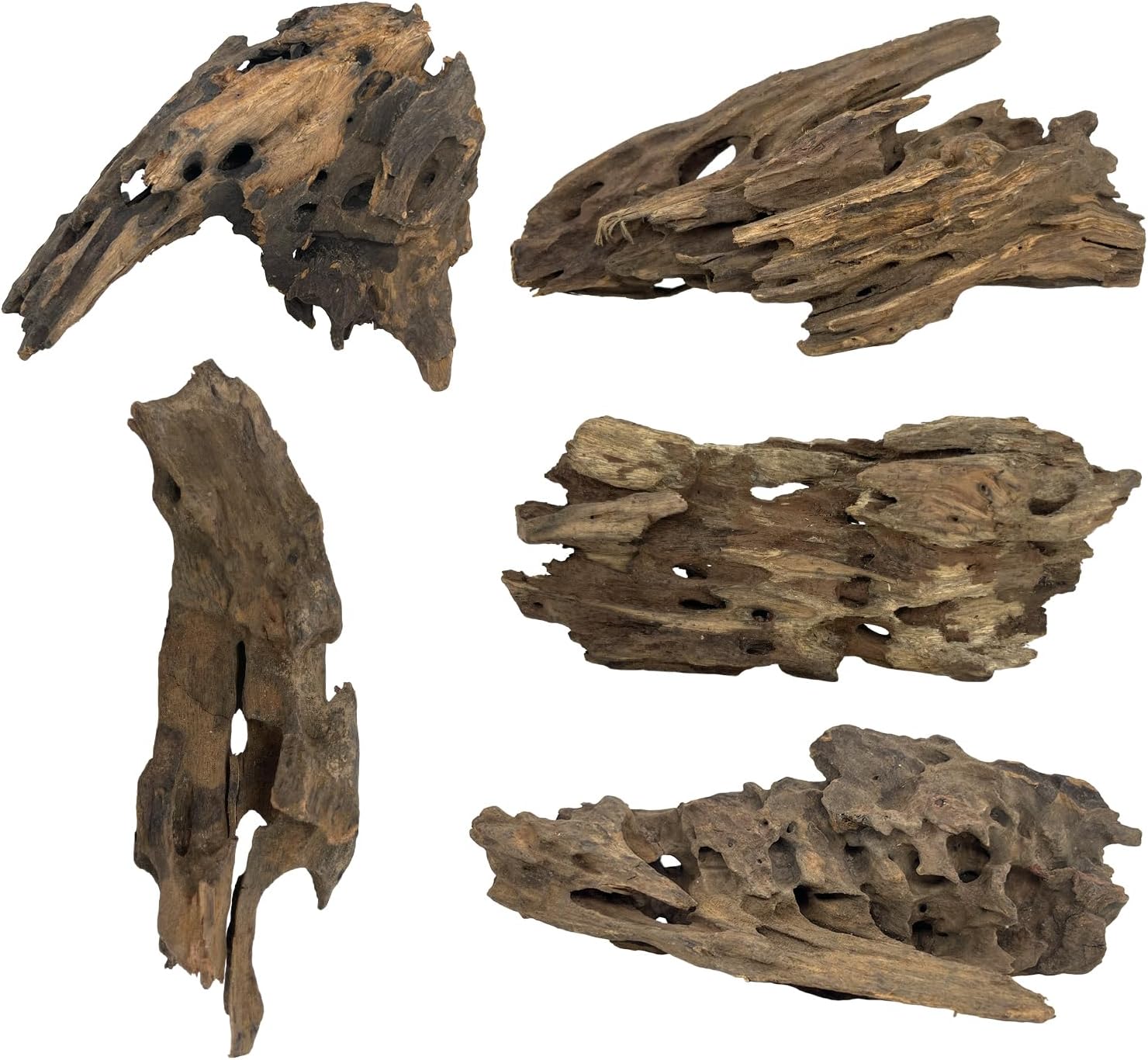5 PCS Natural Honeycomb Wood 6-8", Porous Aquarium Driftwood, Cholla Wood Shrimp Shelter Breeding Cave, Shrimp Dragon Wood for Fish Tank, Aquascaping, Reptile, Terrarium Decor
