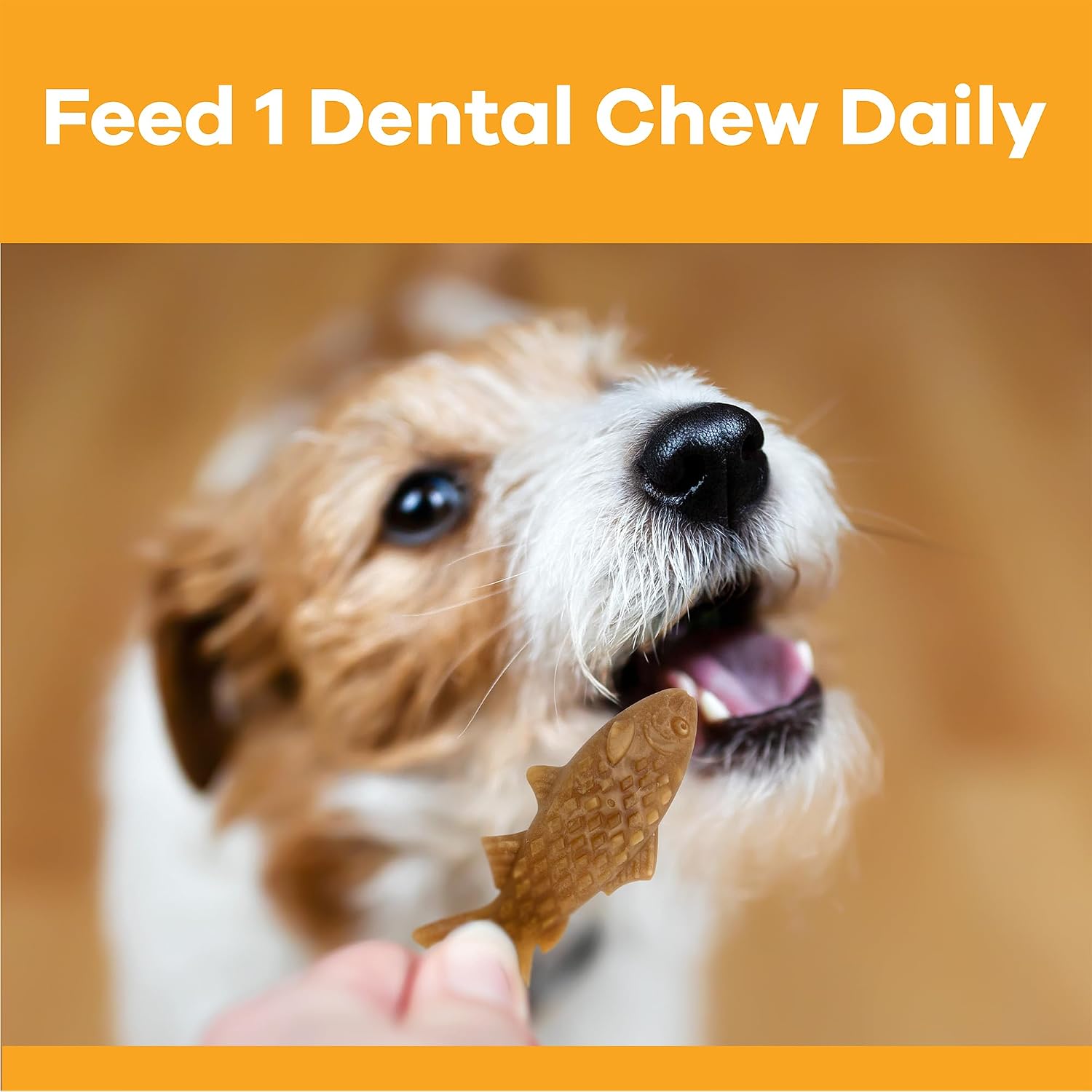 PetsPrefer Chompables Daily Dental Chews for Dogs – Pumpkin Flavor, Fish- Shaped Dental Treats Used to Reduce Plaque, Support Oral Hygiene & Freshen Breath, Dental Chews for Large Dogs, 24-Pack