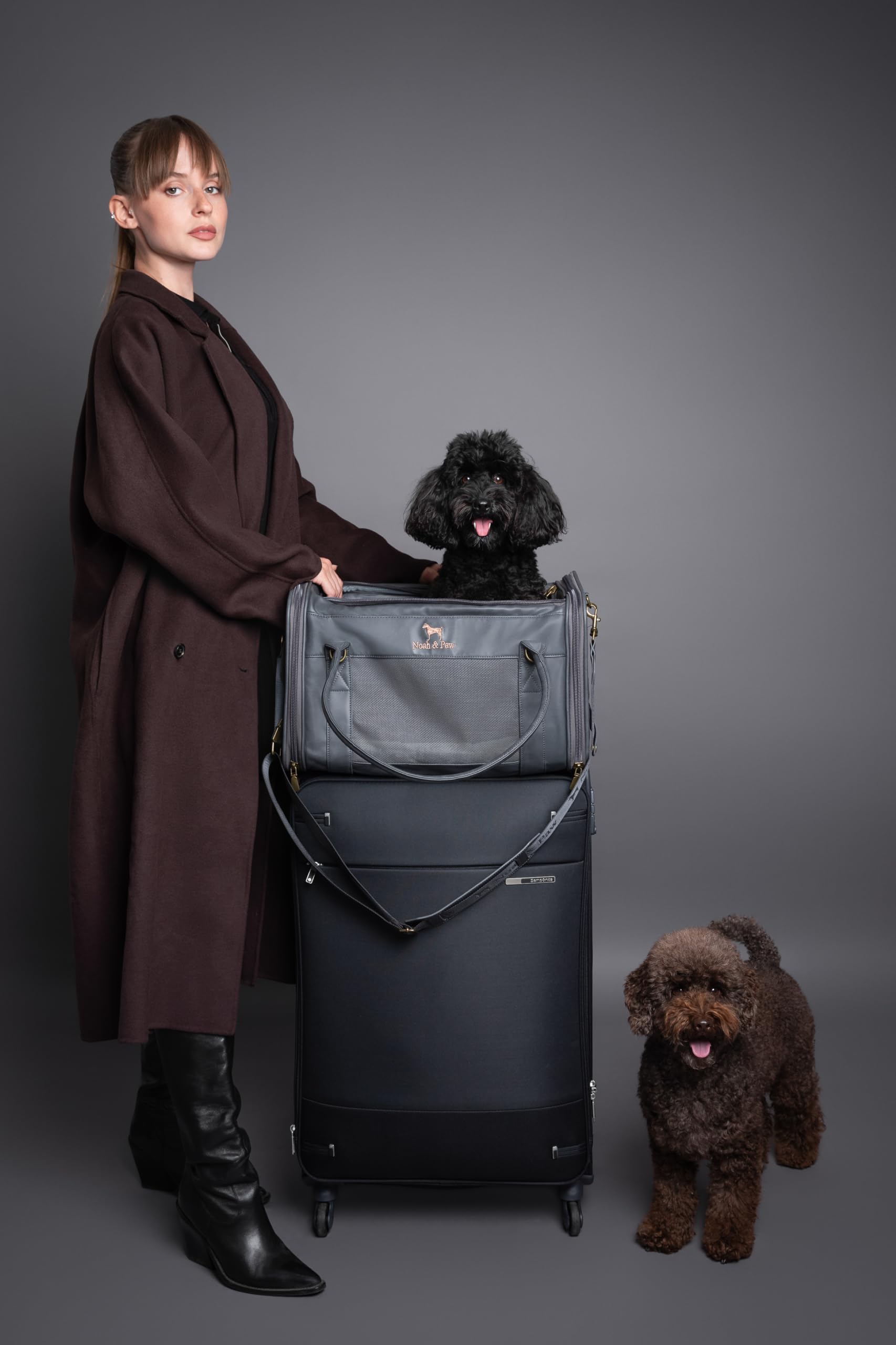 Noah & Paw Transportín Blando para Gatos y Perros Pequeños, Aprobado TSA Aerolíneas 46x28x28cm, Jaula de Viaje para Mascotas, Kennel Pequeño, Colchoneta Incluida, Cuero Sintético Carbón