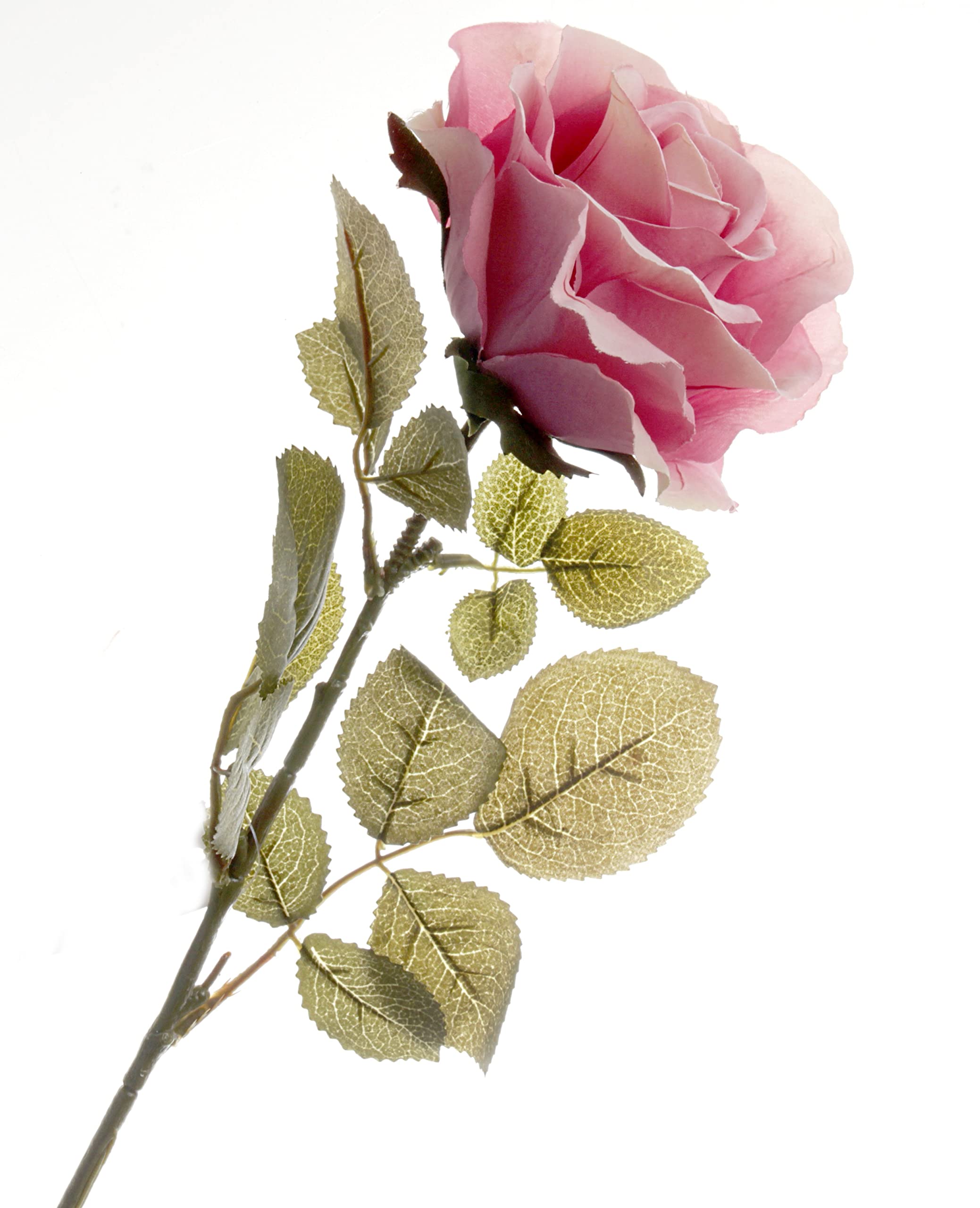 Corsage Creations Single Rose | Artificial Rose with Stem | Realistic Design for Bouquets, Corsages, & Weddings | 70cm Height | Lifelike Shaded Petals & Green Leaves (Dusty Pink)