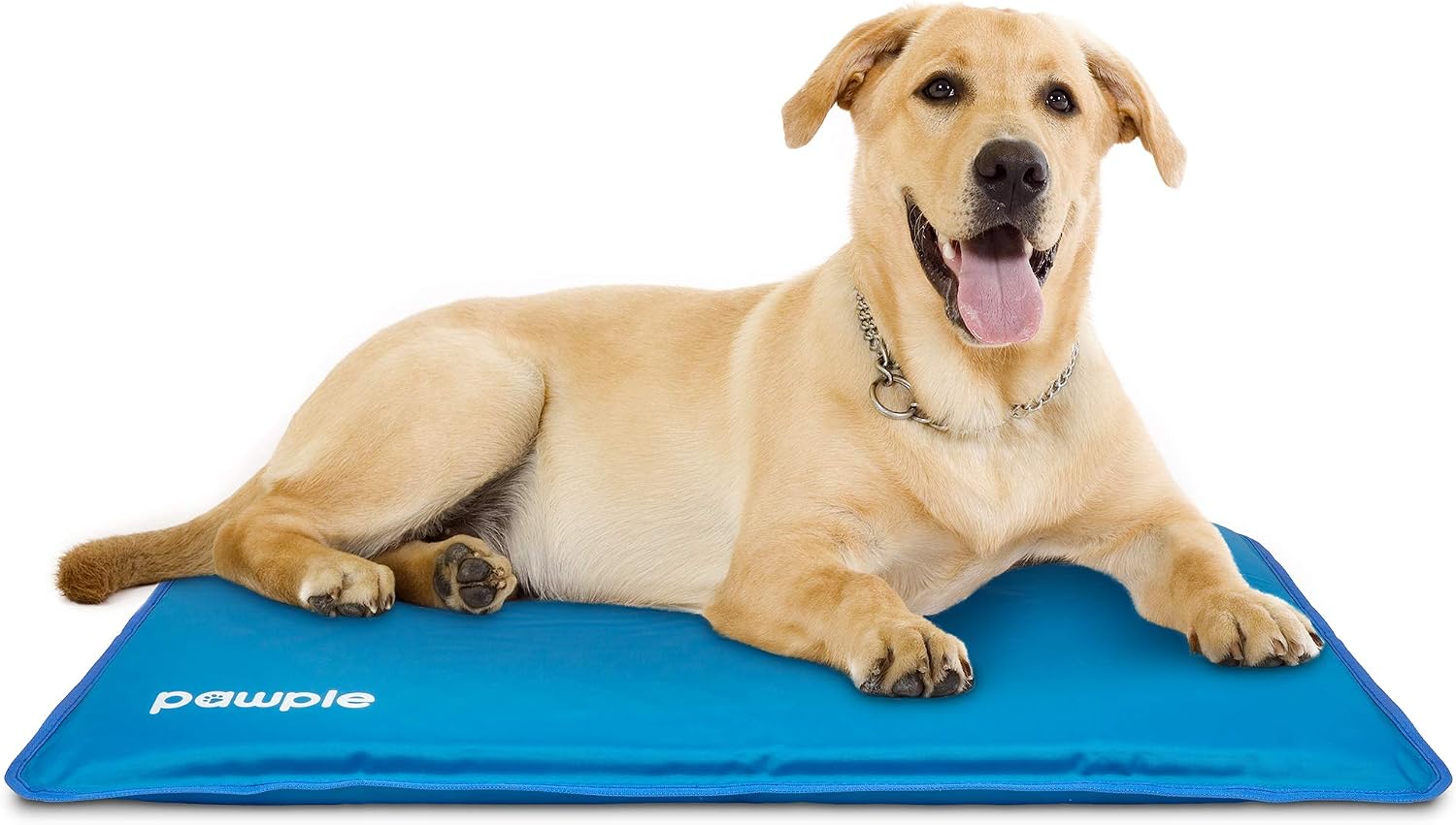 Pawple Dog Cooling Mat Pet Pad for Kennels, Crates and Beds, Thick Foam Base 44" x 32"