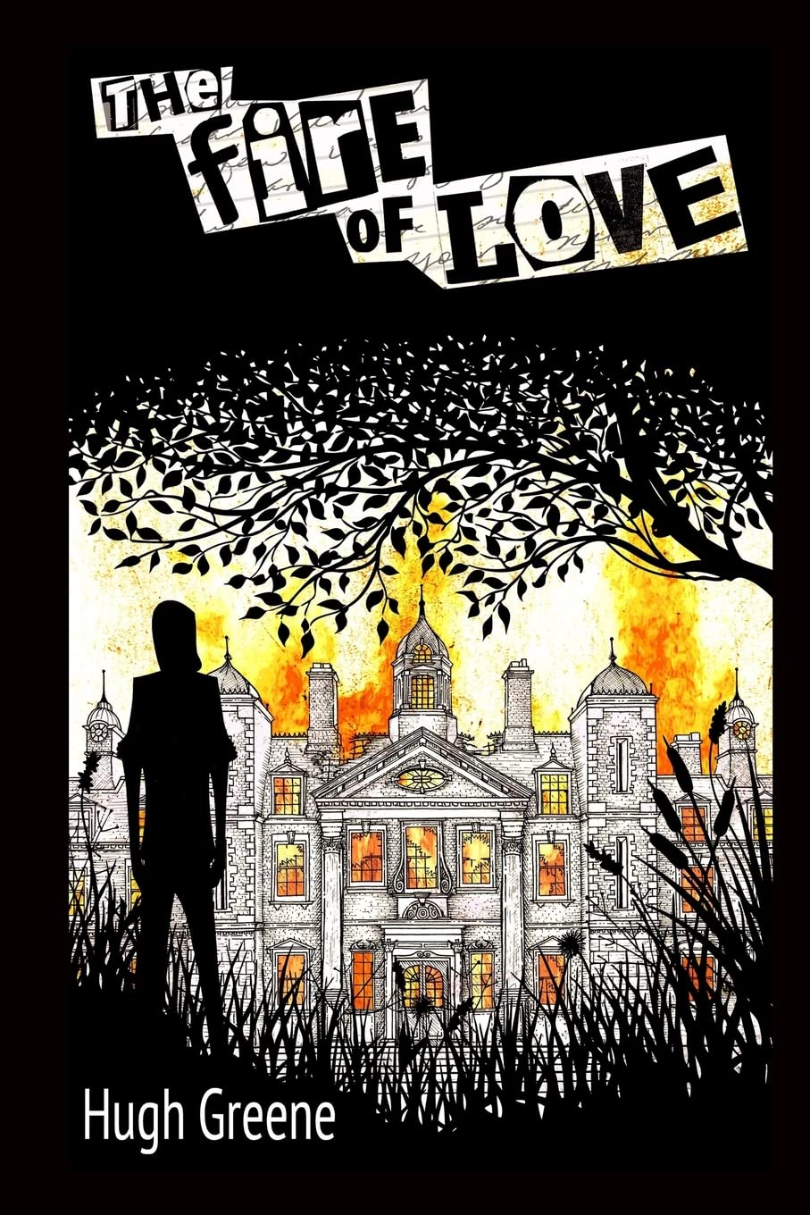 The Fire of Love (The Dr Power Murder Mystery Series)