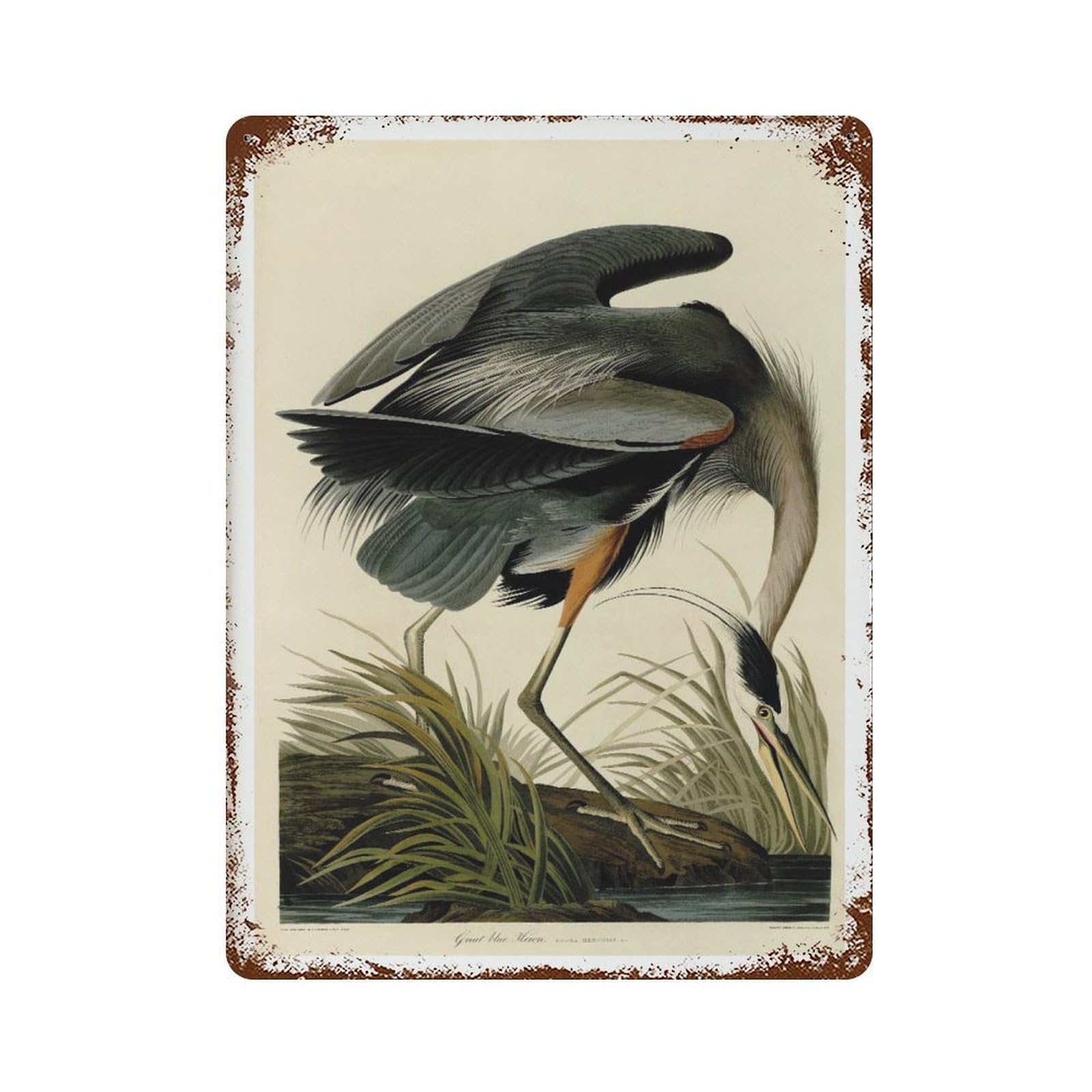 xiaoxiaoshen Vintage Great Blue Heron Animal Wall Decor Art Metal Tin Poster Modern Home Decor Art Home Bar Shop Decorations Vintage Sign 40x30cm
