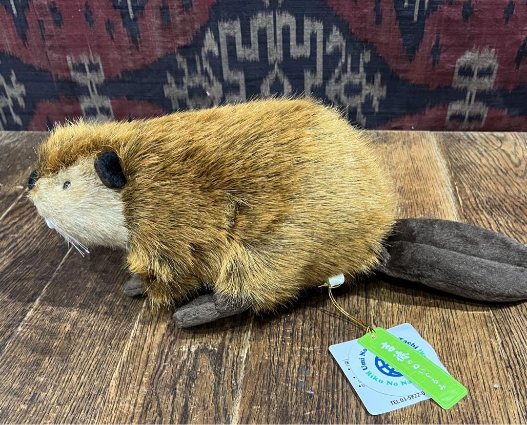 Amazon.co.jp: SUPER BEAVER スーパービーバー 吉徳 通販 ぬいぐるみ
