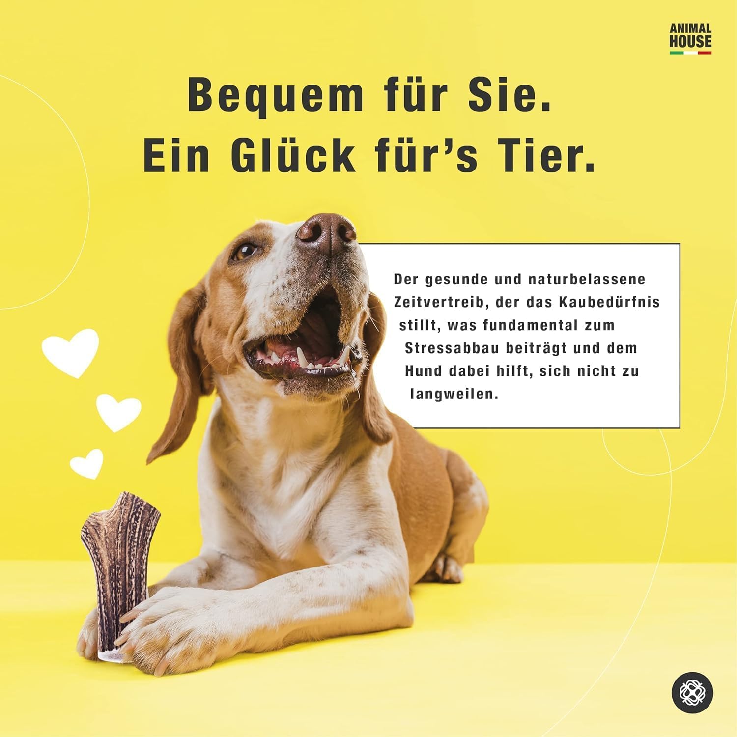 Animal House 3 Stück ganze Hirschgeweihe für Hunde, 100% natürliches Kauspielzeug, stärkt die Mundhygiene, widerstandsfähig und langlebig, in Allen Größen erhältlich (3, L)