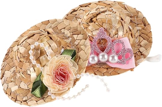 Abaodam 2 Pcs Miniature Rooster and Parrot Hats for Pets, Comfortable and Stylish Sun Protection Accessories for Cosplay and Tiki Parties