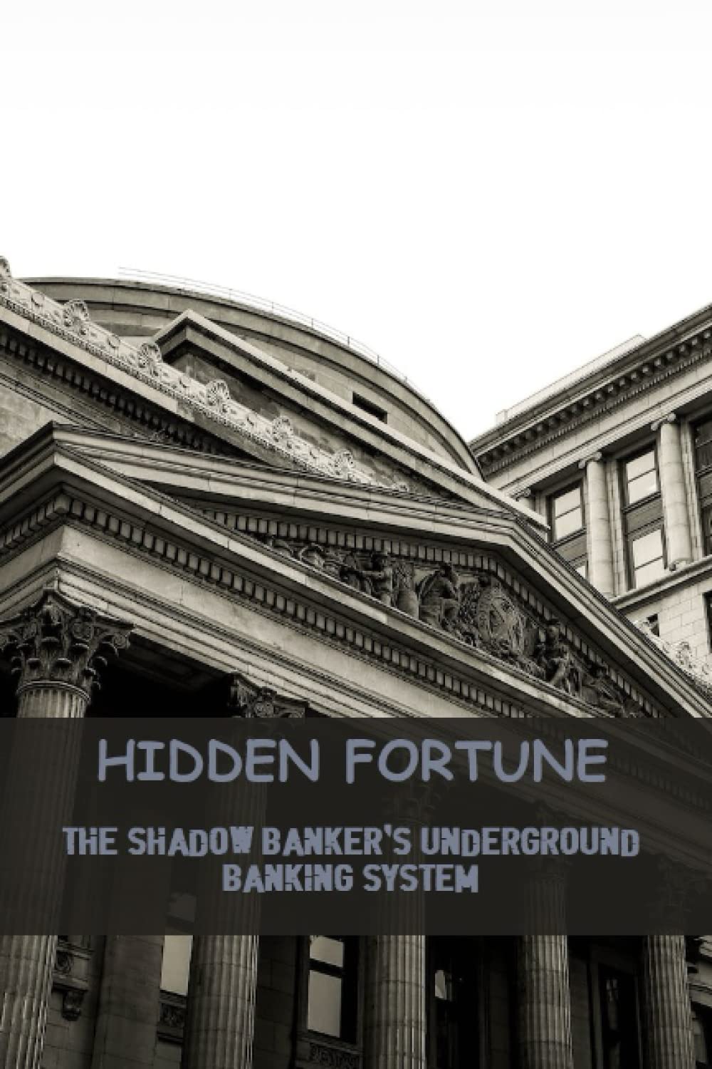Hidden Fortune The Shadow Banker'S Underground Banking System Beegle