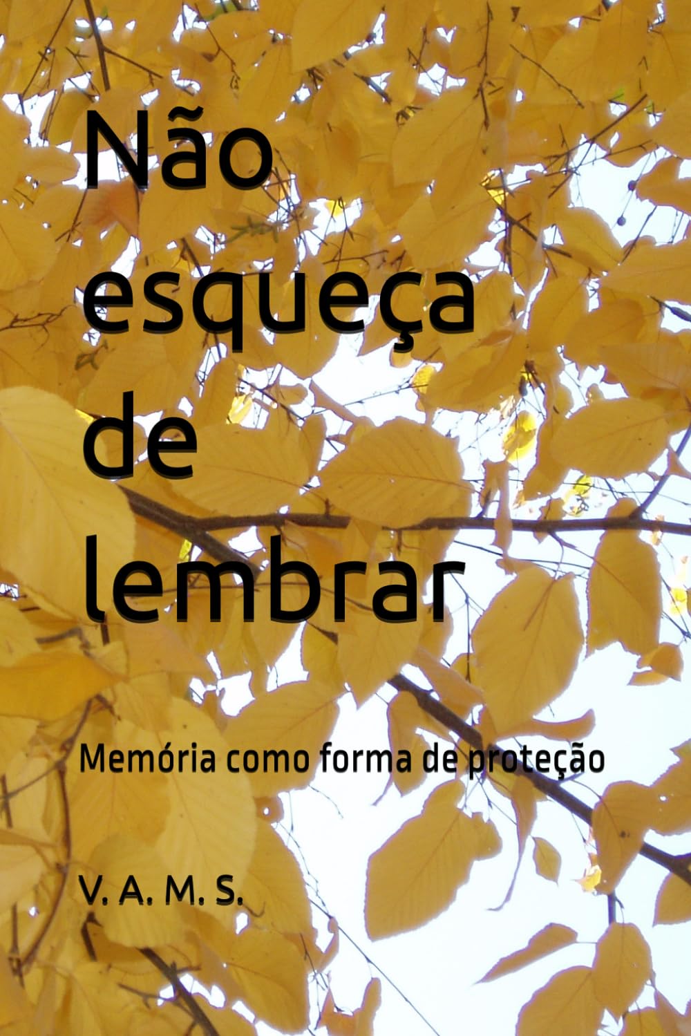 Não esqueça de lembrar: Memória como forma de proteção