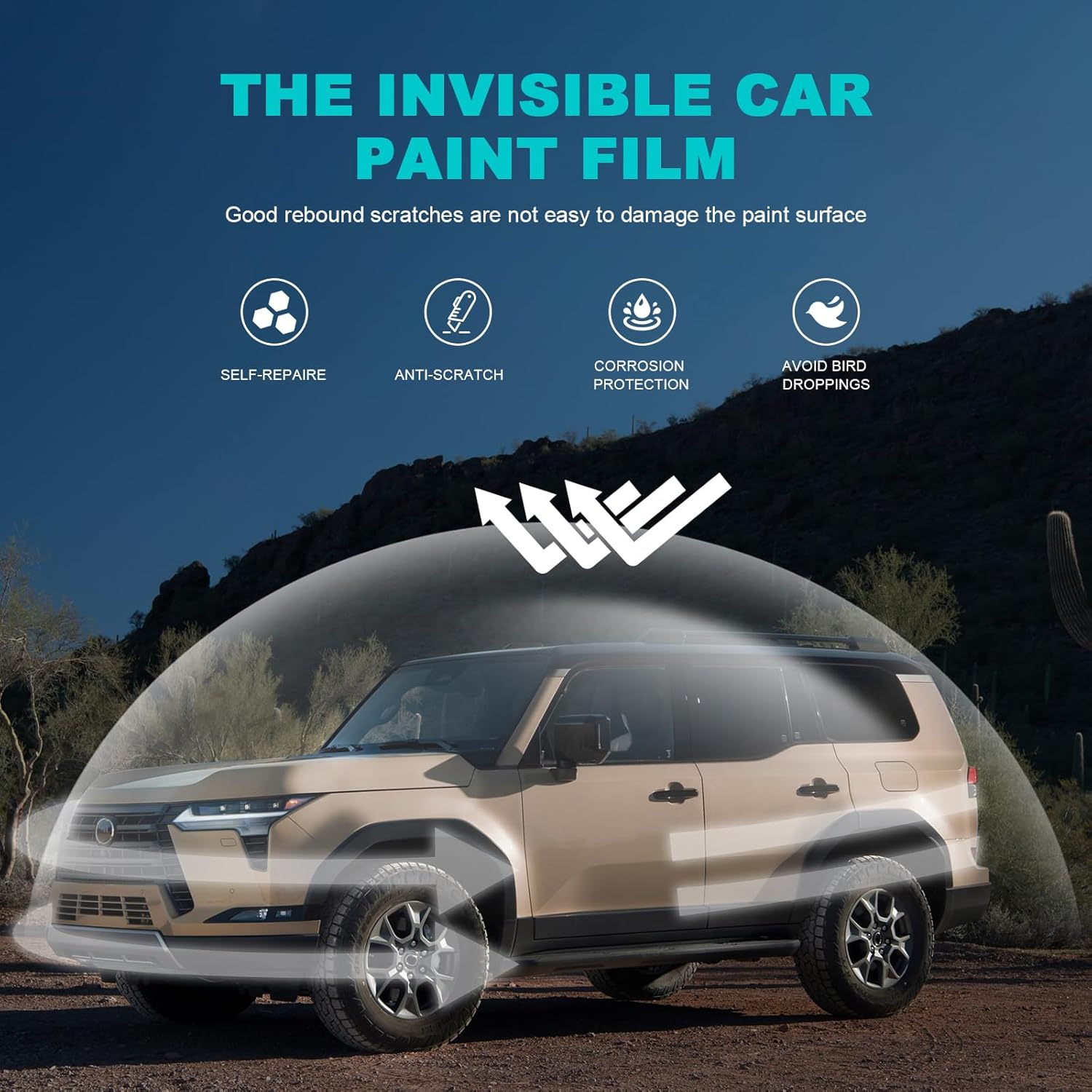 掛軸 昇花 松尾芭蕉 四季セット 紙箱 画賛 画讃 書 花 柿 春夏秋冬 C-4