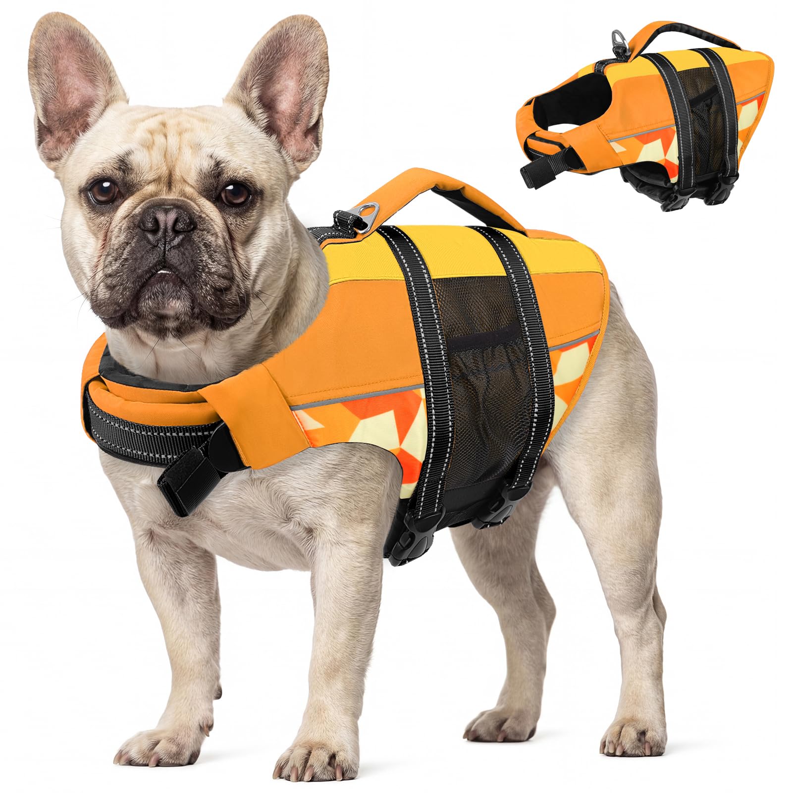 CITÉTOILE Giubbotti di Salvataggio per Cani, Regolabile Salvagente per Animali con Manico, Costume da Bagno di Sicurezza in Acqua per la Vela in Piscina Sulla Spiaggia, M