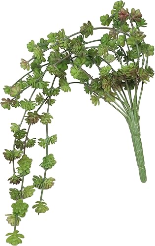 Miniatura 4 de Ebros Gift Paquete de 6 plantas suculentas artificiales realistas y realistas, botánicas para el hogar, jardín, veranda, oficina, centros de mesa,