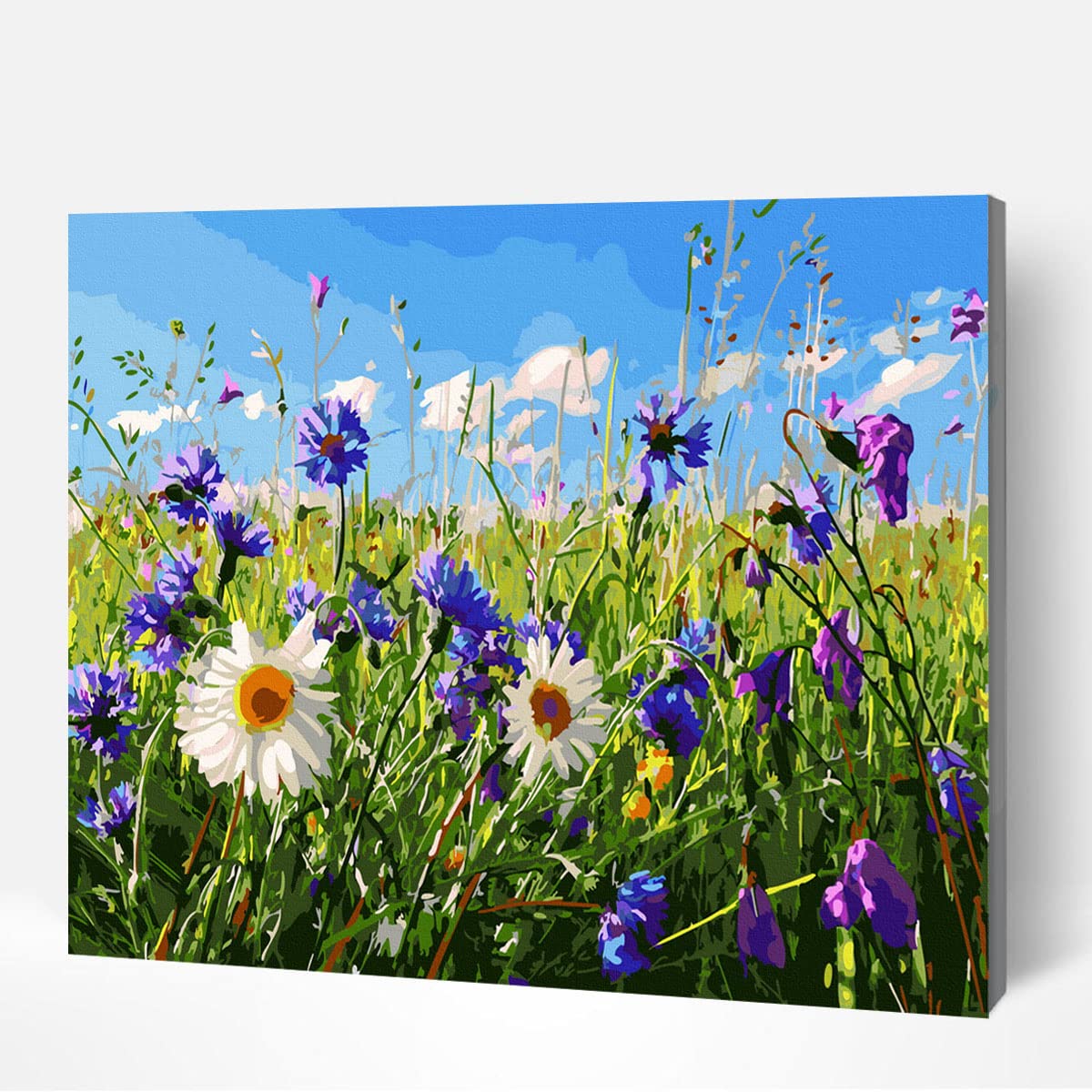 Grebesty Paint by Numbers for Adults Students, Adult Professional Paint by Numbers Skyflower for Homedecor 40X50cm Framed