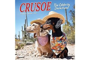 Crusoe the Celebrity Dachshund 2021 Calendar