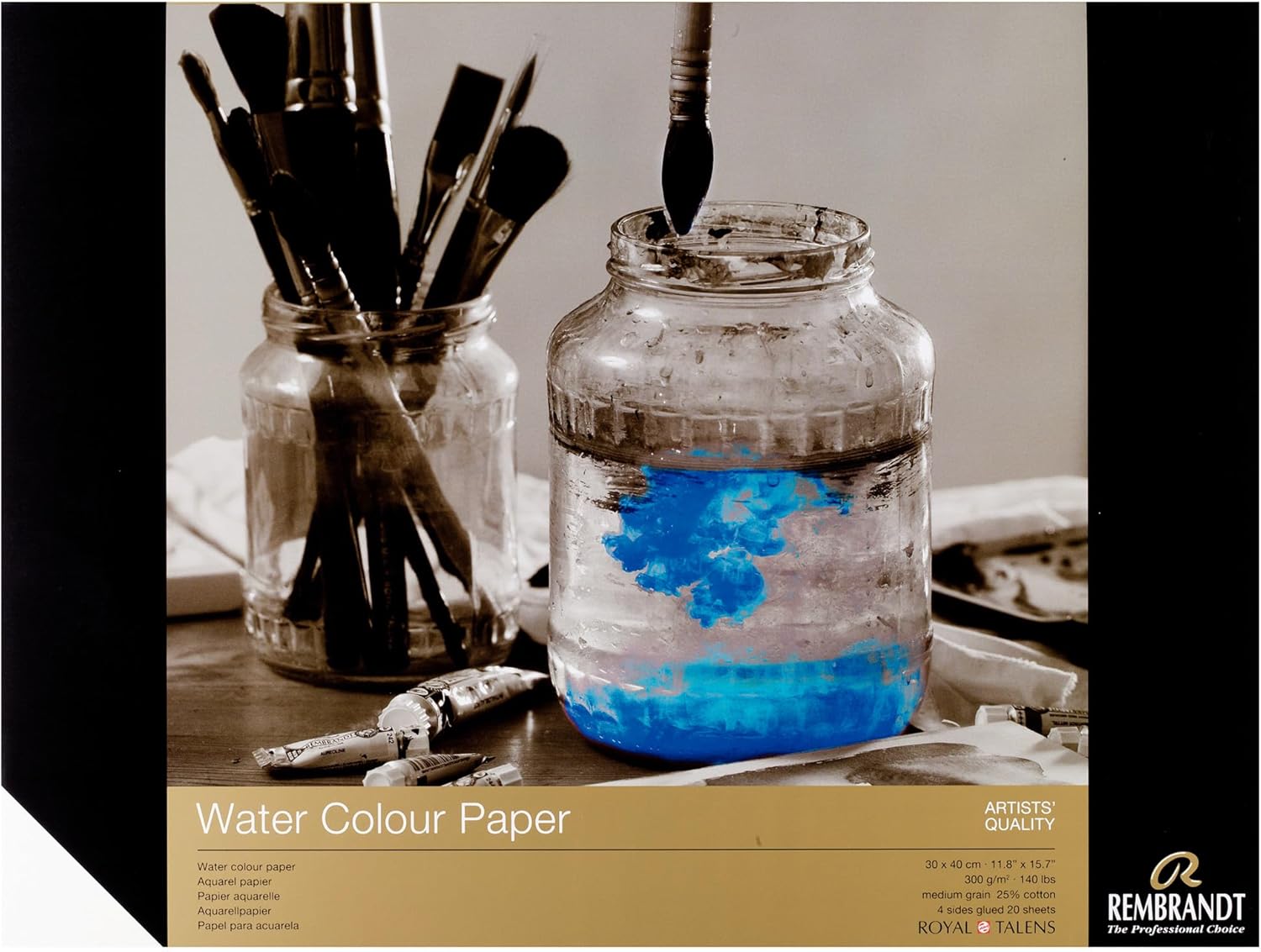25% Cotton Watercolour Paper by Rembrandt