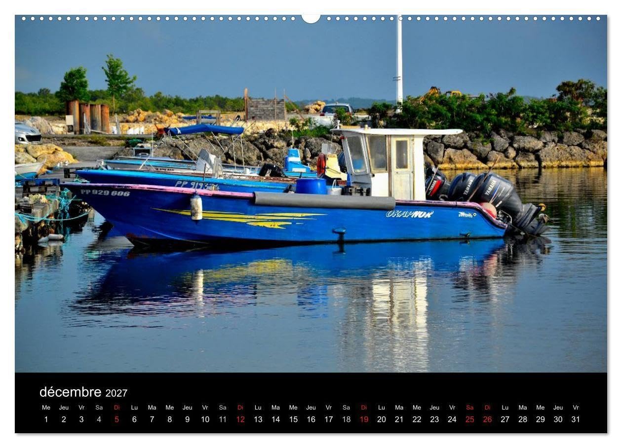 Paysages de Guadeloupe (Calendrier mural haut de gamme 2027 DIN A2 vertical), CALVENDO calendrier mensuel: Un lieu paradisiaque à découvrir