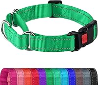 Vista 1 de Joytale Collar Martingale para perros, reflectante resistente para mayor seguridad, hebilla de liberación rápida, collares de nailon ajustables