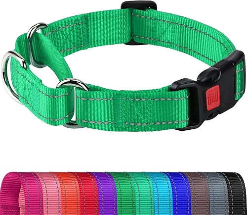 Joytale Collar Martingale para perros, reflectante resistente para mayor seguridad, hebilla de liberación rápida, collares de nailon ajustables para