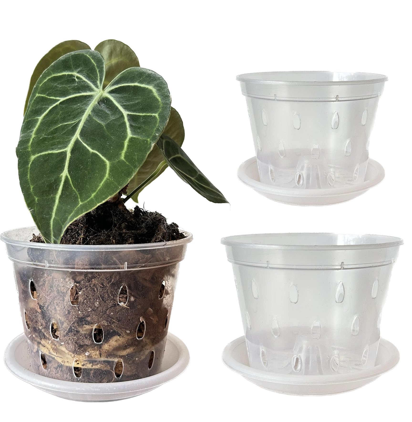 Support Outils Jardin CCCYMM Lot De 10 Supports Ronds En Plastique Robuste Pour Pots De Fleurs 20 E 160492