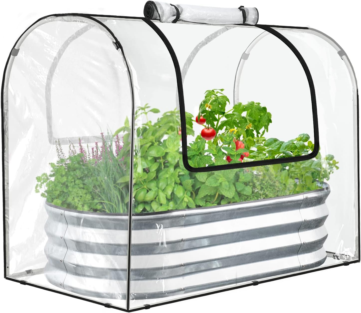 Raised Garden Bed Kit with Greenhouse Cover and Carden