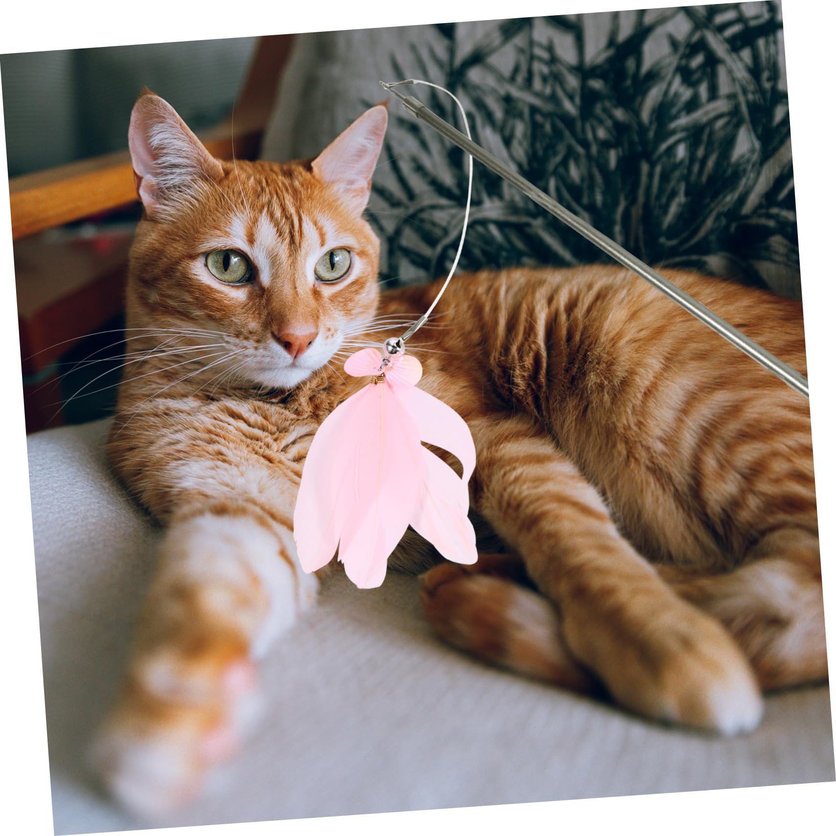 minkissy Lot De 3 Cannes À Pêche pour Chat avec 7 Réversibles pour Jeux D'intérieur (7 Pièces X 3)