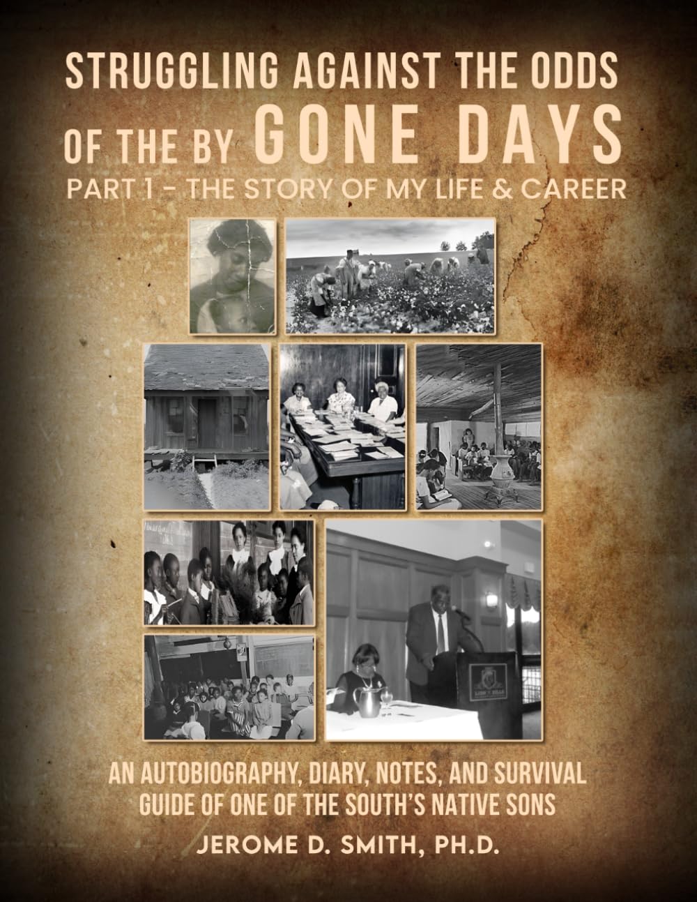 Struggling Against the Odds of the Bygone Days: An Autobiography, Diary, Notes, and Survival Guide by One of the South’s Native Sons?