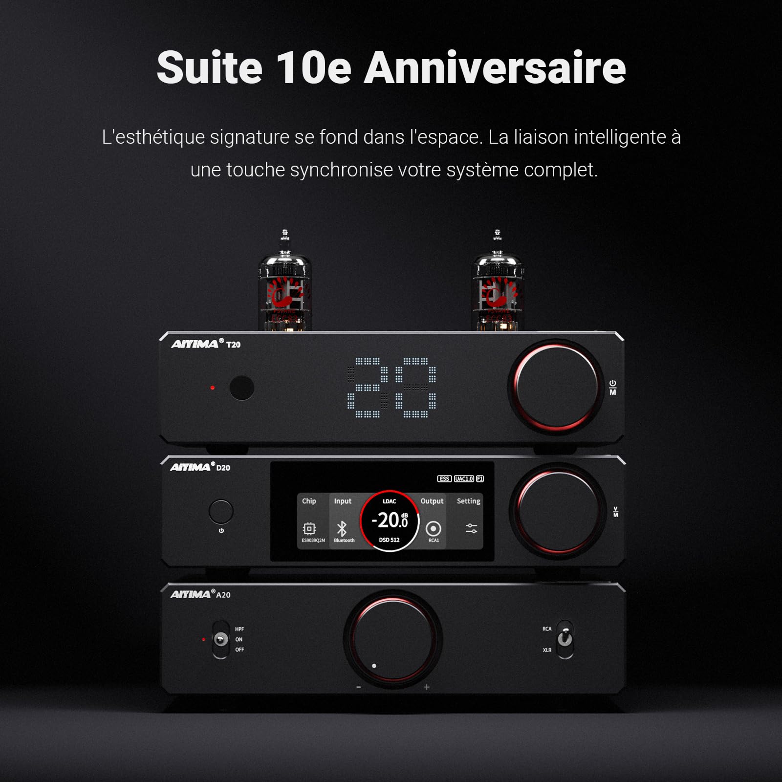 DAC entièrement équilibré AIYIMA D20 avec deux puces DAC ES9039Q2M AK4493S