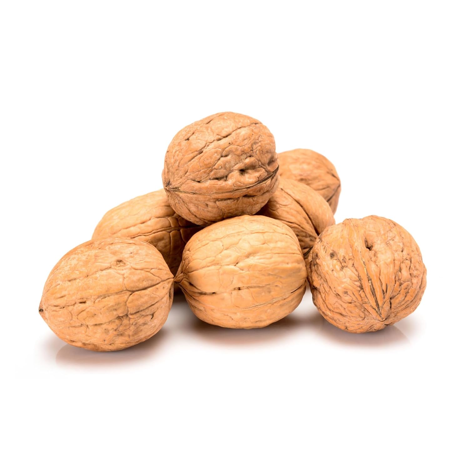 Trends Walnuts in Shell – Fresh, Natural, and Nutrient-Rich, Perfect for Snacking, Baking, and Cooking Fresh Walnuts in Shell – Non-GMO (12 LBS)