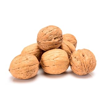 Trends Walnuts in Shell Fresh, Natural, and Nutrient-Rich, Perfect for Snacking, Baking, and Cooking Fresh Walnuts in Shell Non-GMO 3 LBS