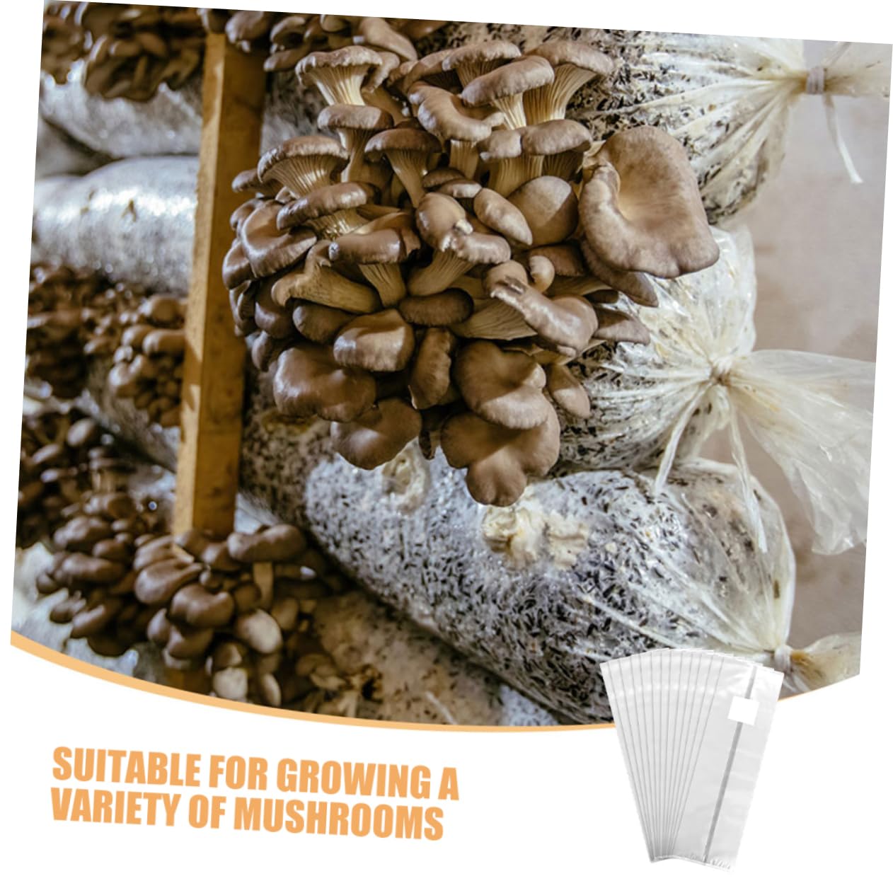 Milisten 50 Pièces Sacs de Culture pour Champignons Kit de Culture de Pleurotes Sacs Collecteurs de Poussière Stérilisé Pliables pour Champignons avec Filtre