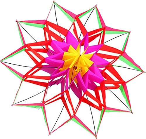 Cometa tridimensional 3D hermosa flor color cometa hecha a mano mosca para los muchachos