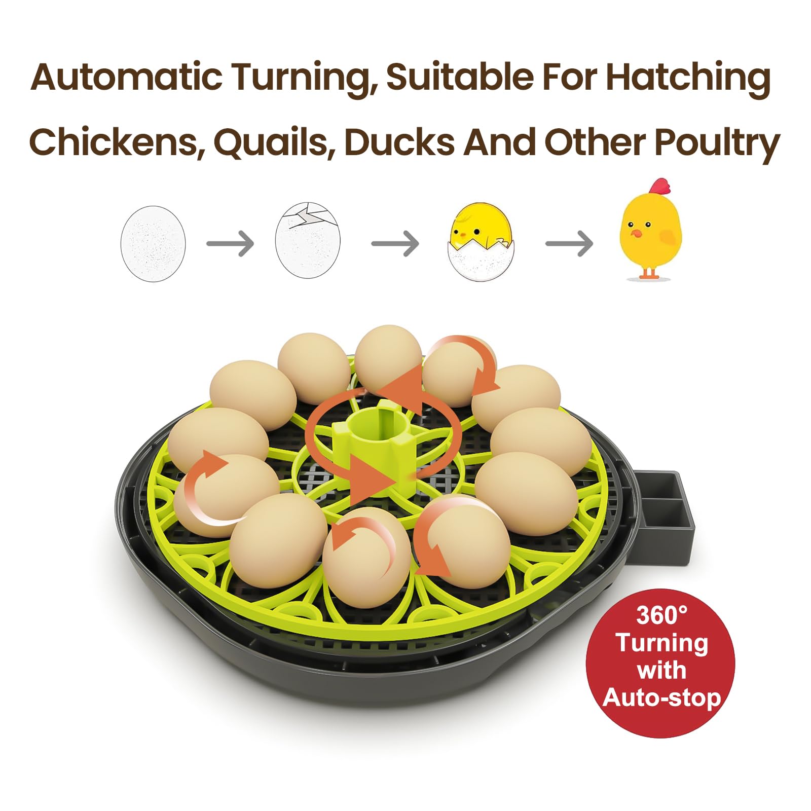 Incubadoras para incubación de huevos, incubadora de 12 huevos con giro automático de huevos y control de humedad, vela de huevo, reposición automática de agua, para huevos de gallina y huevo de